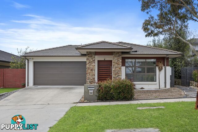 146 Langtree Crescent CRACE ACT 2911