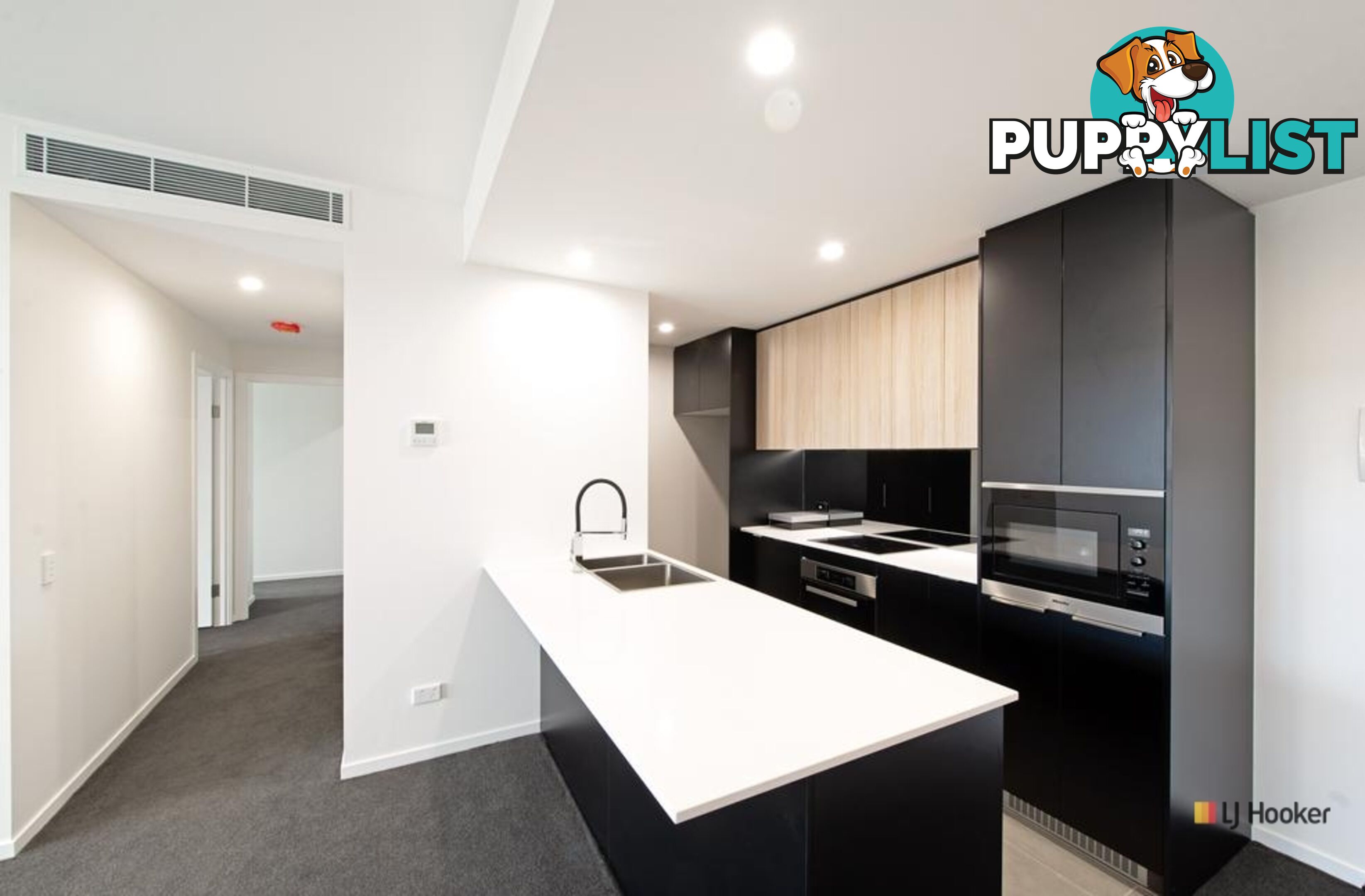 60/81 Consitution Avenue CAMPBELL ACT 2612