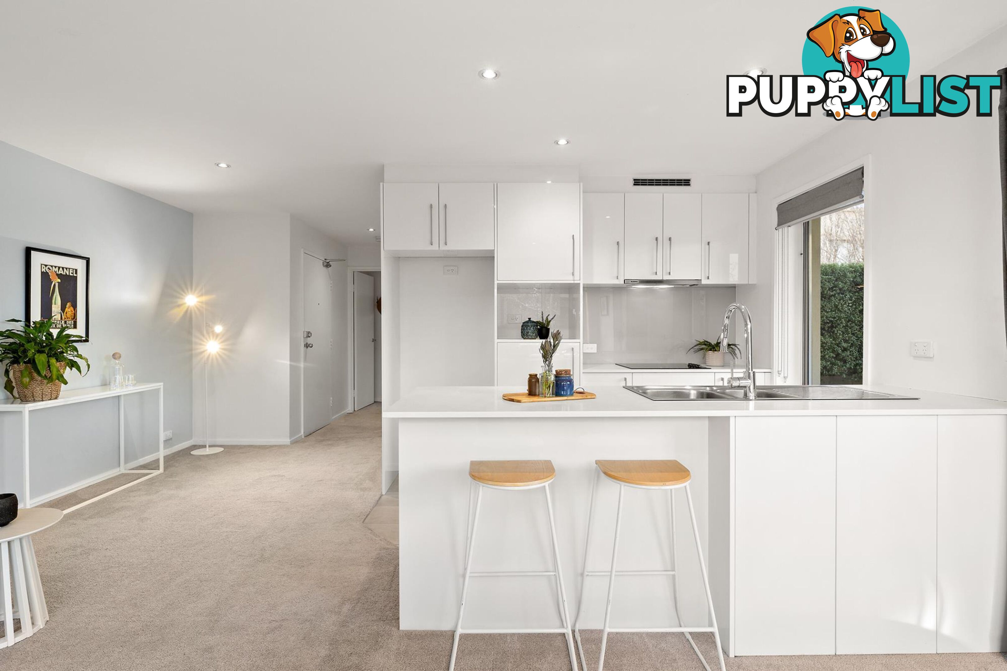 1/12 Challis Street DICKSON ACT 2602