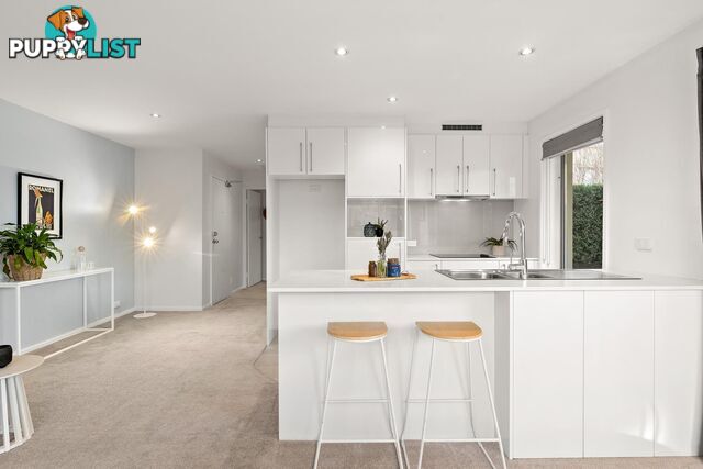 1/12 Challis Street DICKSON ACT 2602