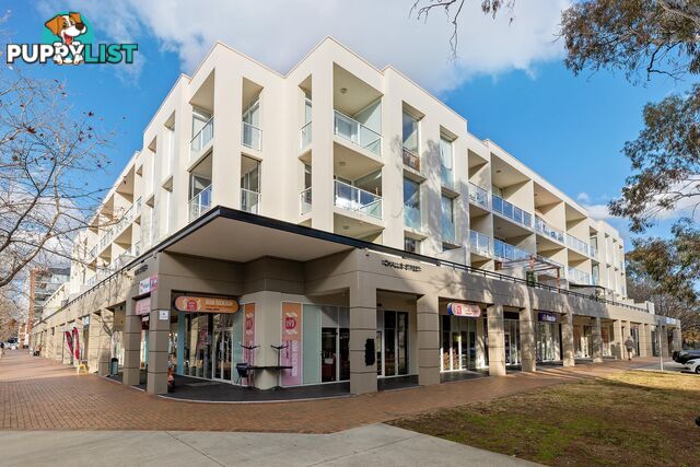 1/12 Challis Street DICKSON ACT 2602