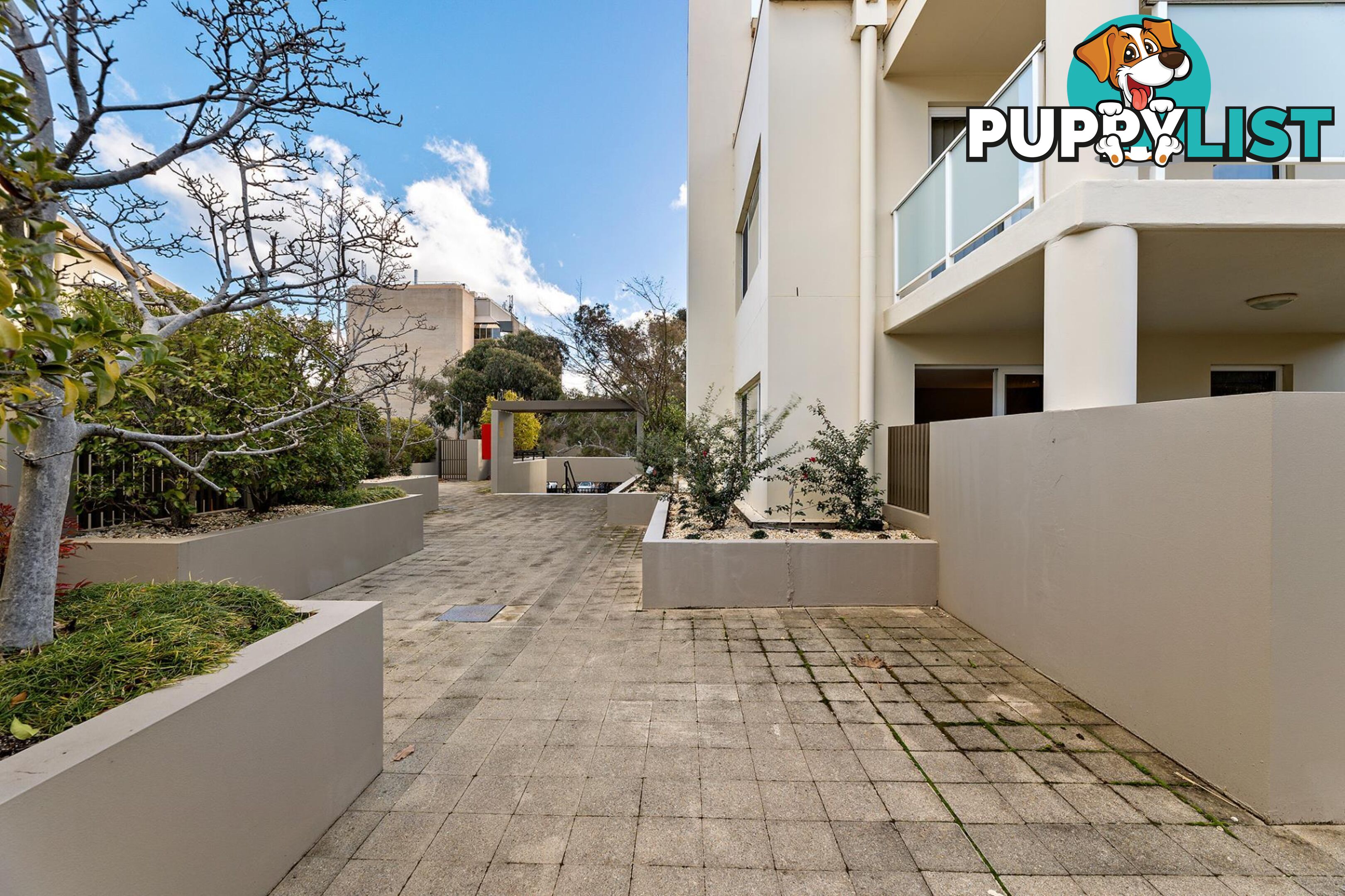 1/12 Challis Street DICKSON ACT 2602
