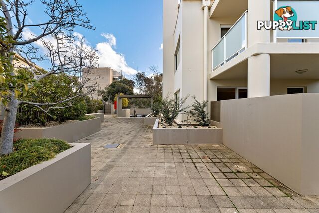 1/12 Challis Street DICKSON ACT 2602