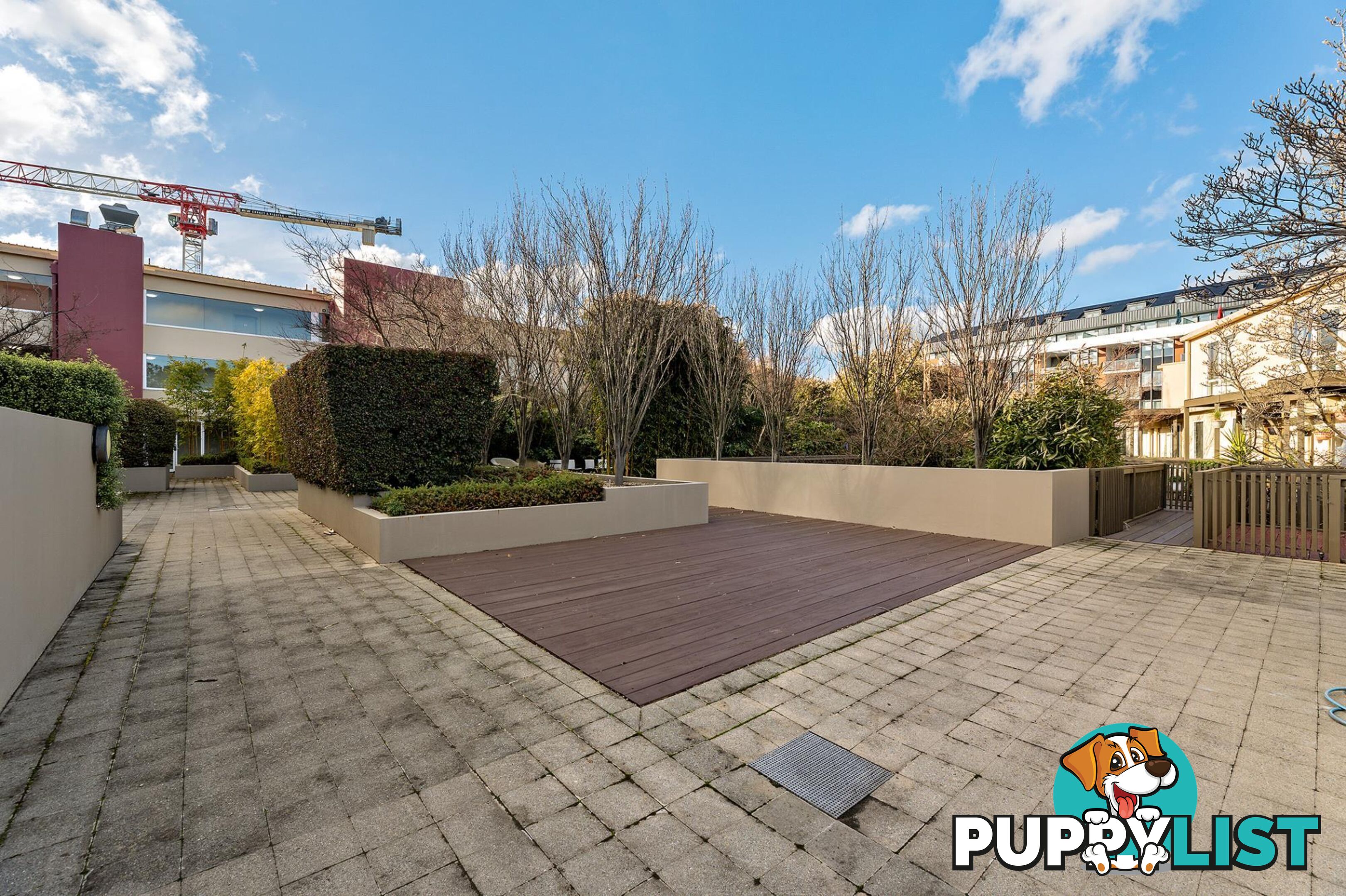 1/12 Challis Street DICKSON ACT 2602