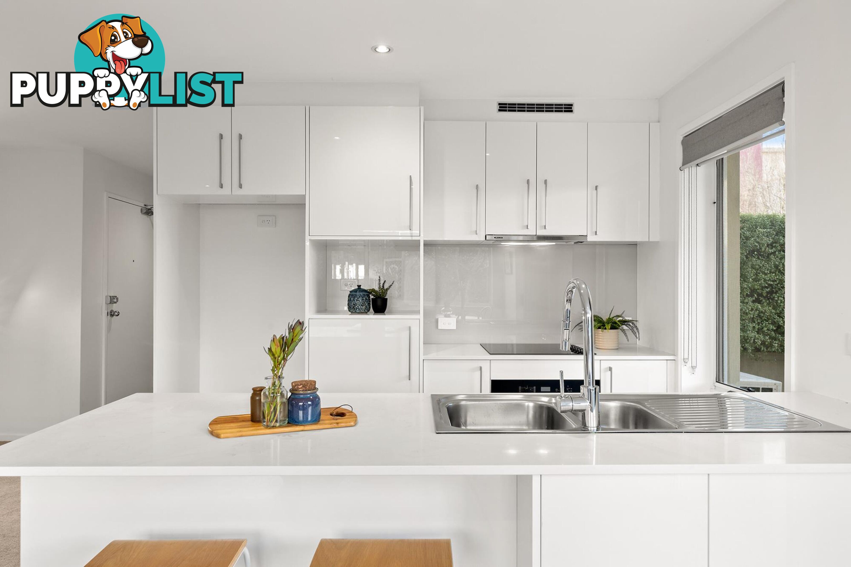 1/12 Challis Street DICKSON ACT 2602