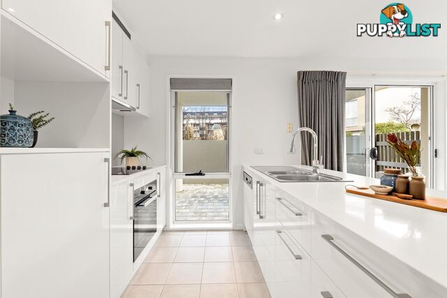1/12 Challis Street DICKSON ACT 2602