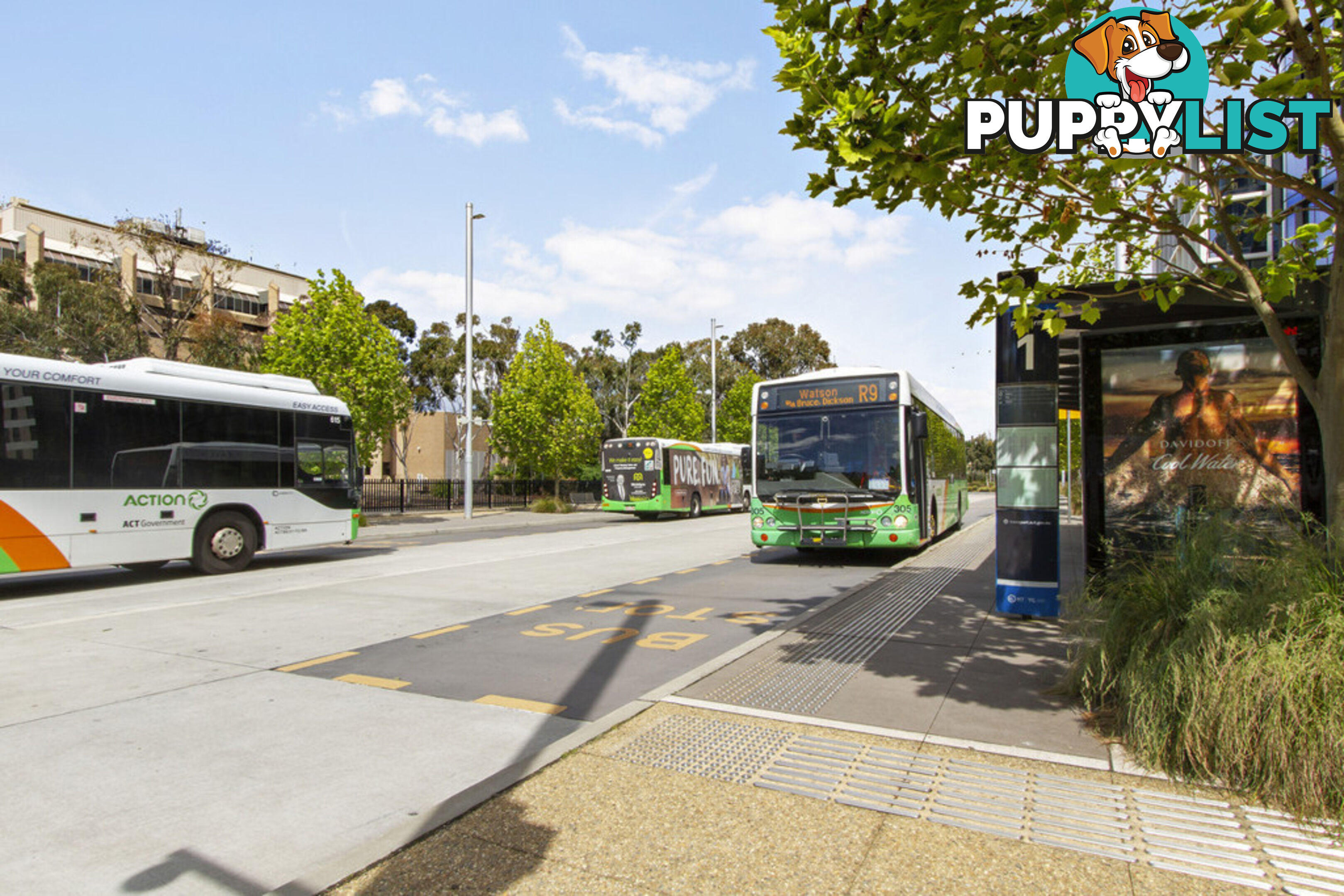 1/12 Challis Street DICKSON ACT 2602