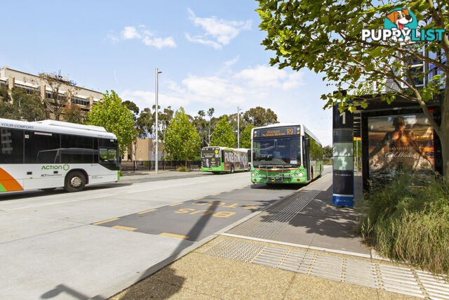 1/12 Challis Street DICKSON ACT 2602