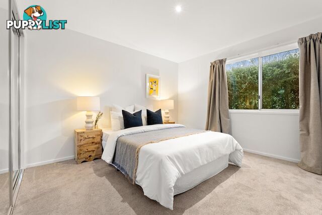 1/12 Challis Street DICKSON ACT 2602