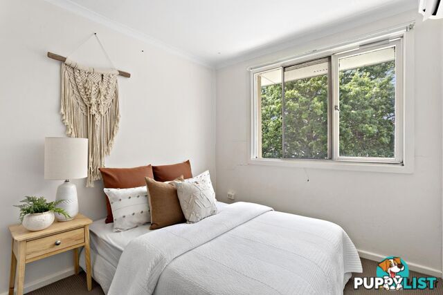 11 Archibald Street LYNEHAM ACT 2602