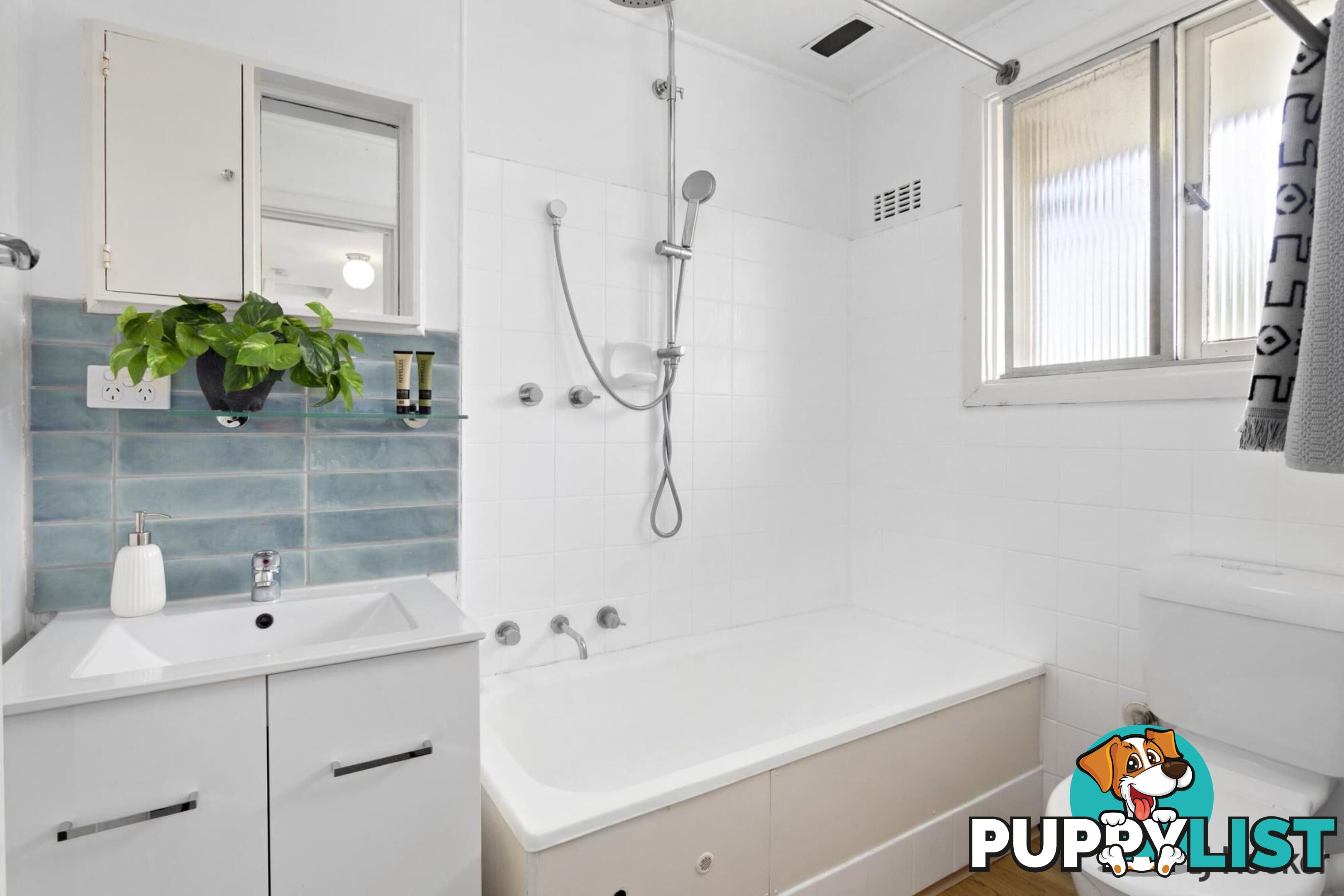11 Archibald Street LYNEHAM ACT 2602