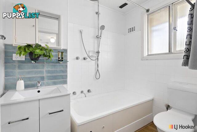 11 Archibald Street LYNEHAM ACT 2602