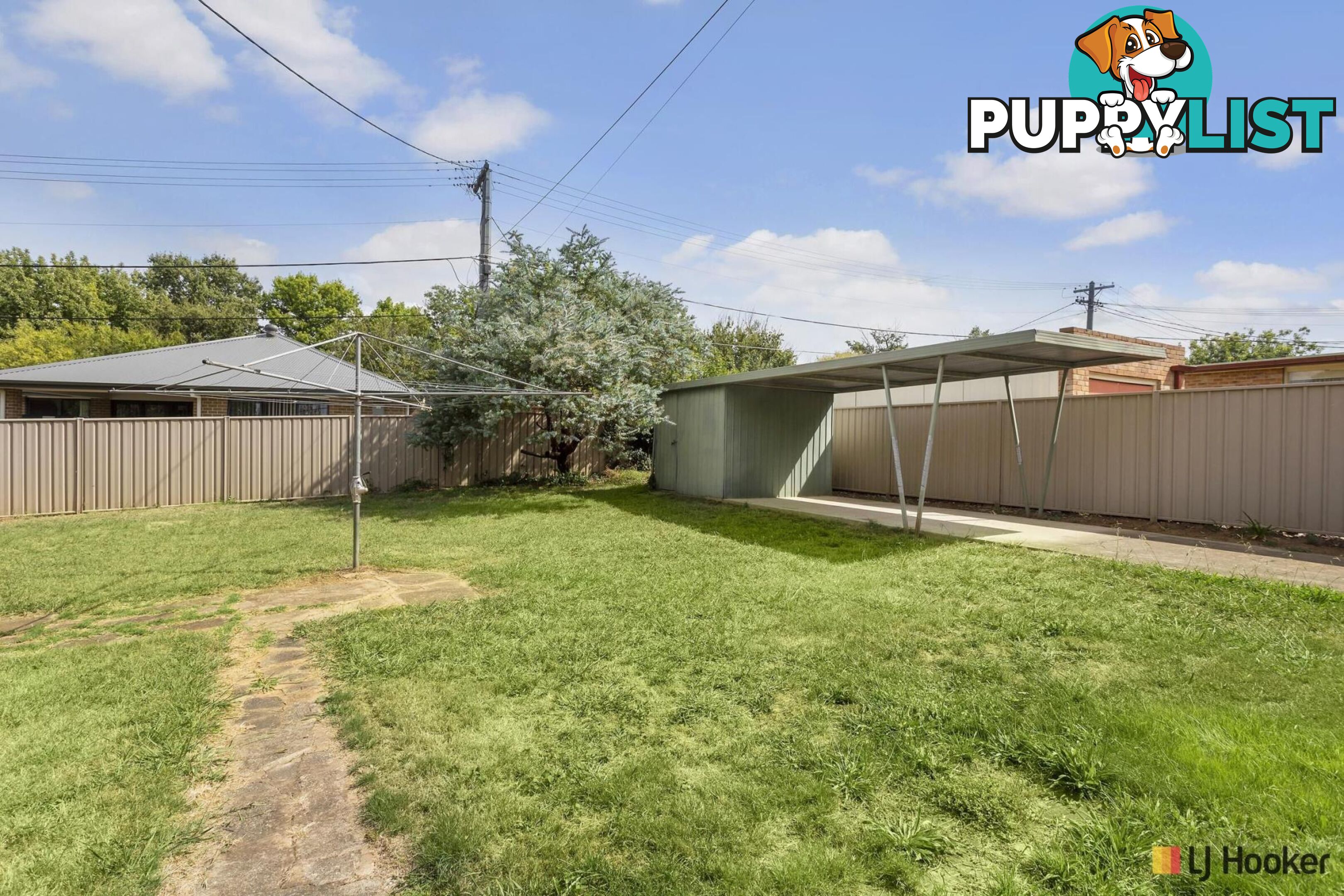 11 Archibald Street LYNEHAM ACT 2602