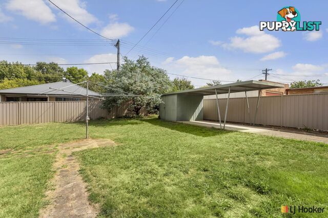 11 Archibald Street LYNEHAM ACT 2602