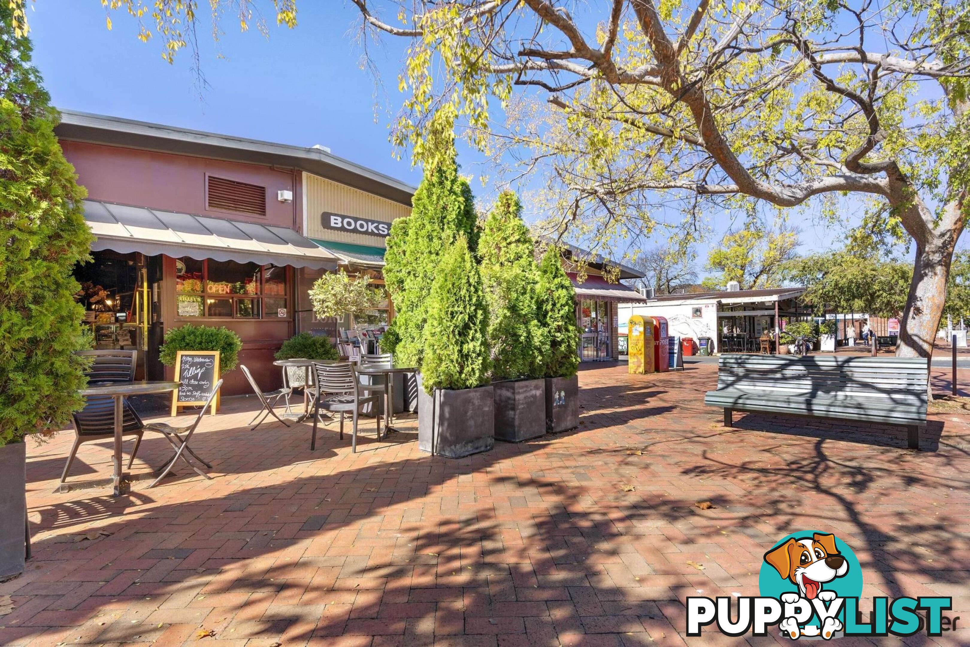 11 Archibald Street LYNEHAM ACT 2602