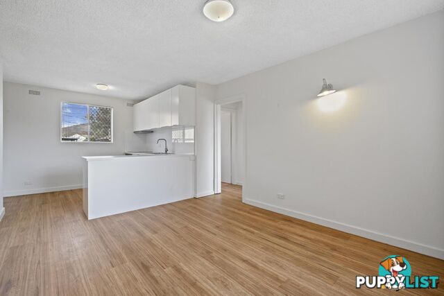 4/127 Rivett Street HACKETT ACT 2602