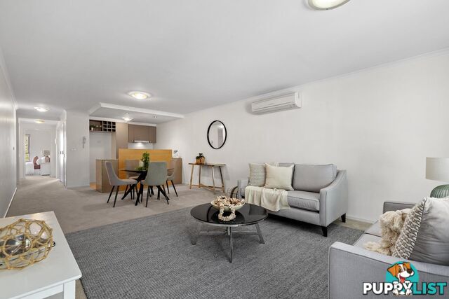 12/62 Lowanna Street BRADDON ACT 2612