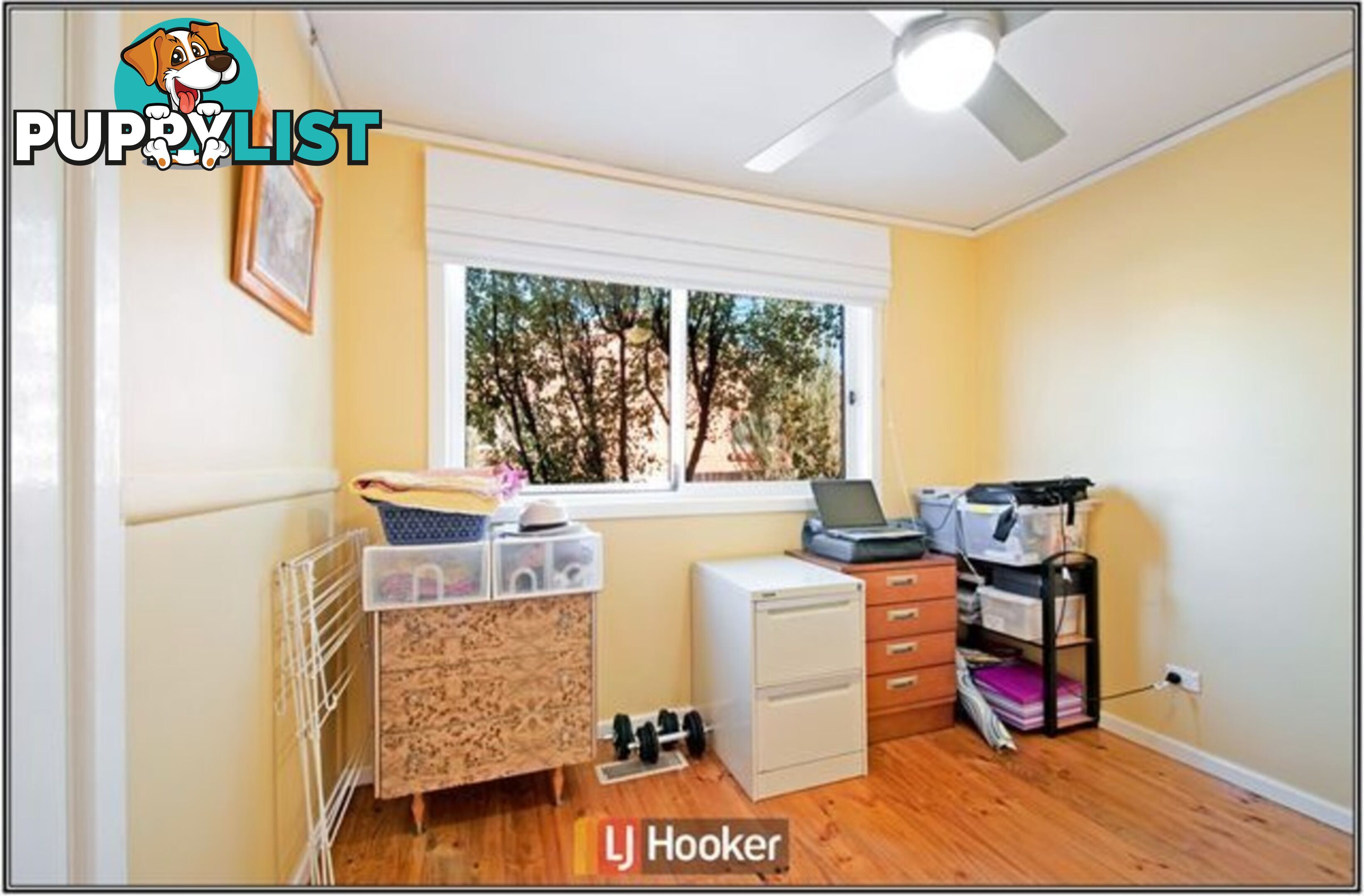77 Longstaff Street LYNEHAM ACT 2602