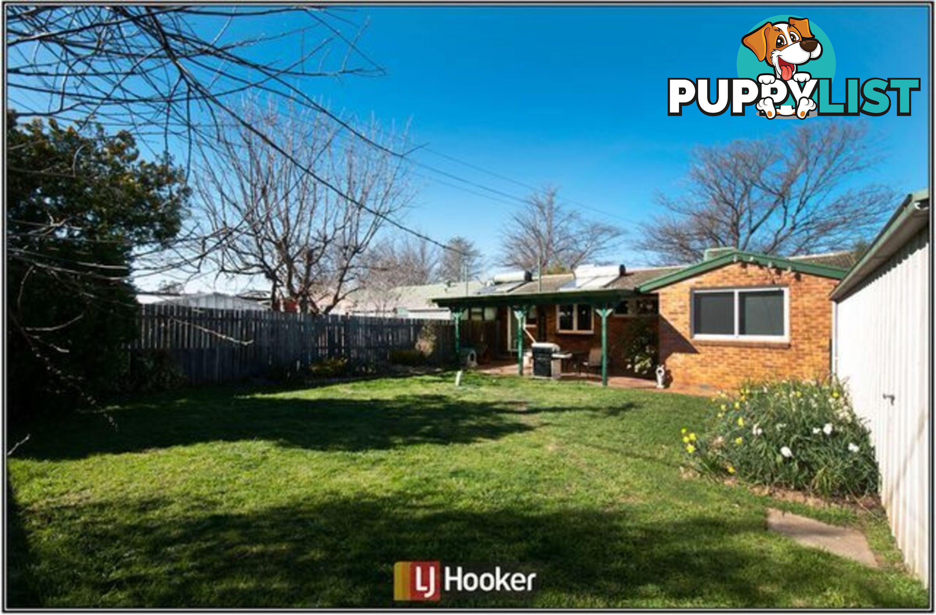 77 Longstaff Street LYNEHAM ACT 2602