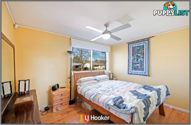77 Longstaff Street LYNEHAM ACT 2602
