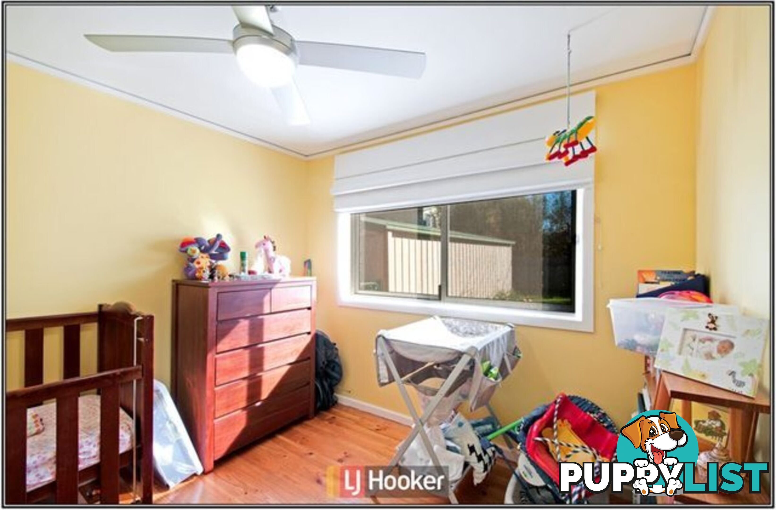 77 Longstaff Street LYNEHAM ACT 2602