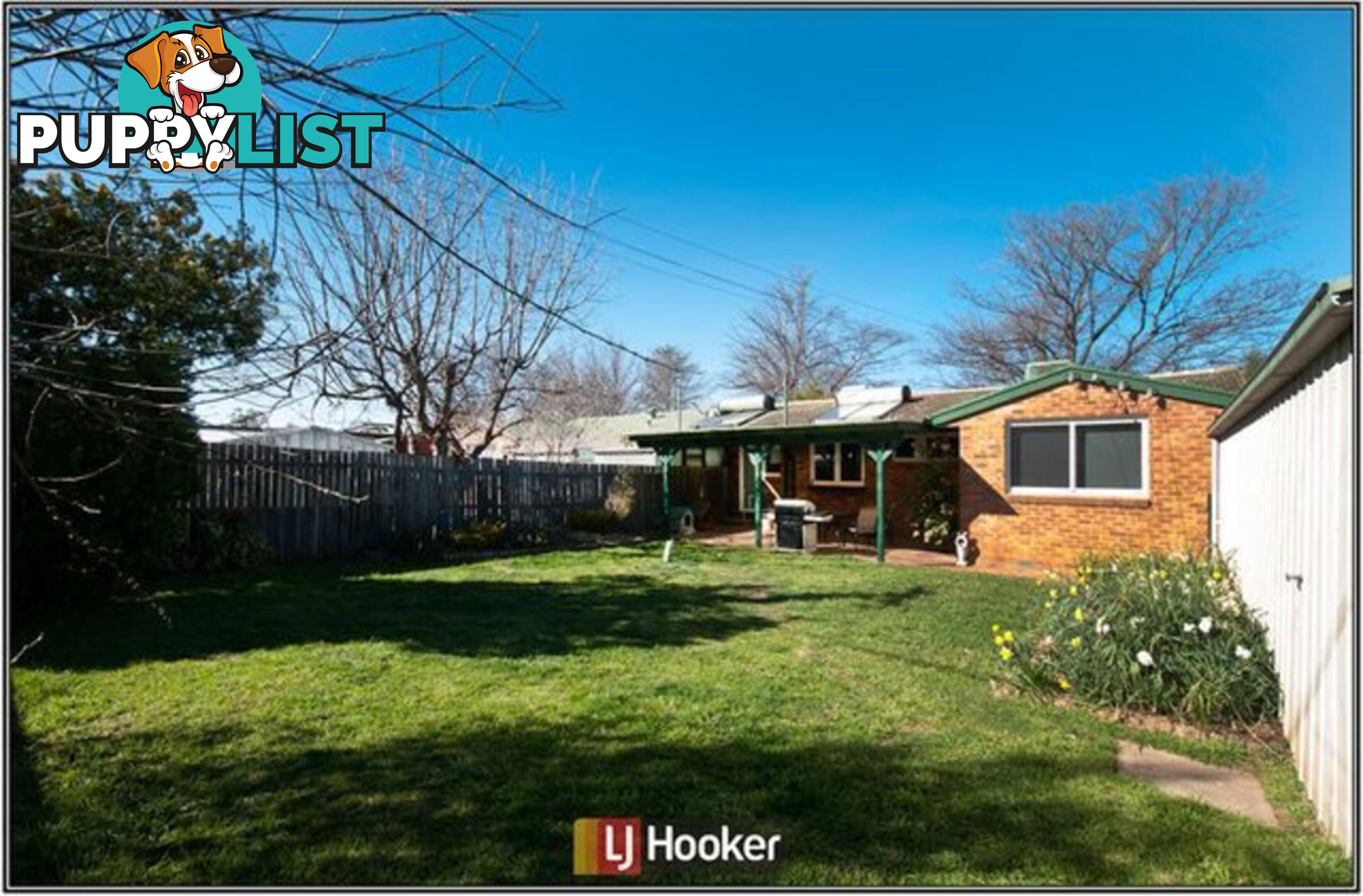 77 Longstaff Street LYNEHAM ACT 2602