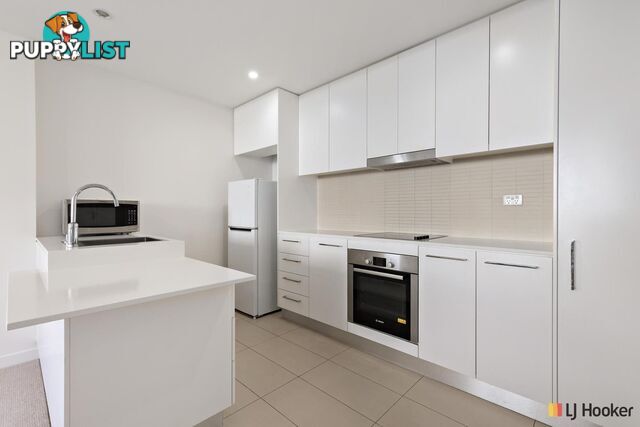 223/41 Chandler Street BELCONNEN ACT 2617