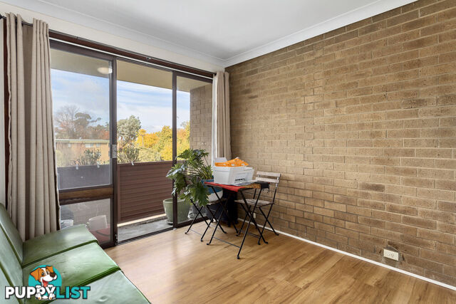 31/60 Wattle Street LYNEHAM ACT 2602