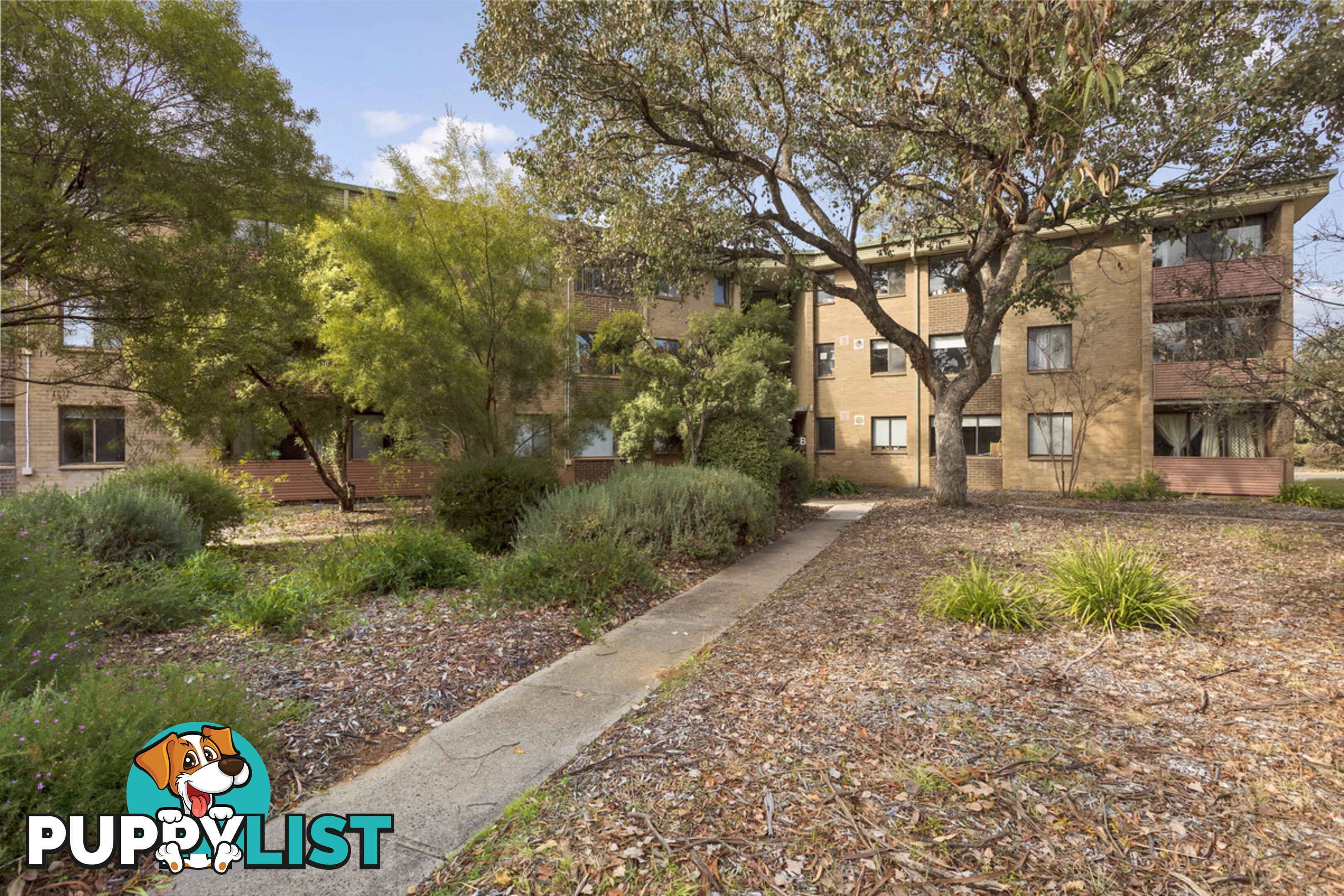 31/60 Wattle Street LYNEHAM ACT 2602