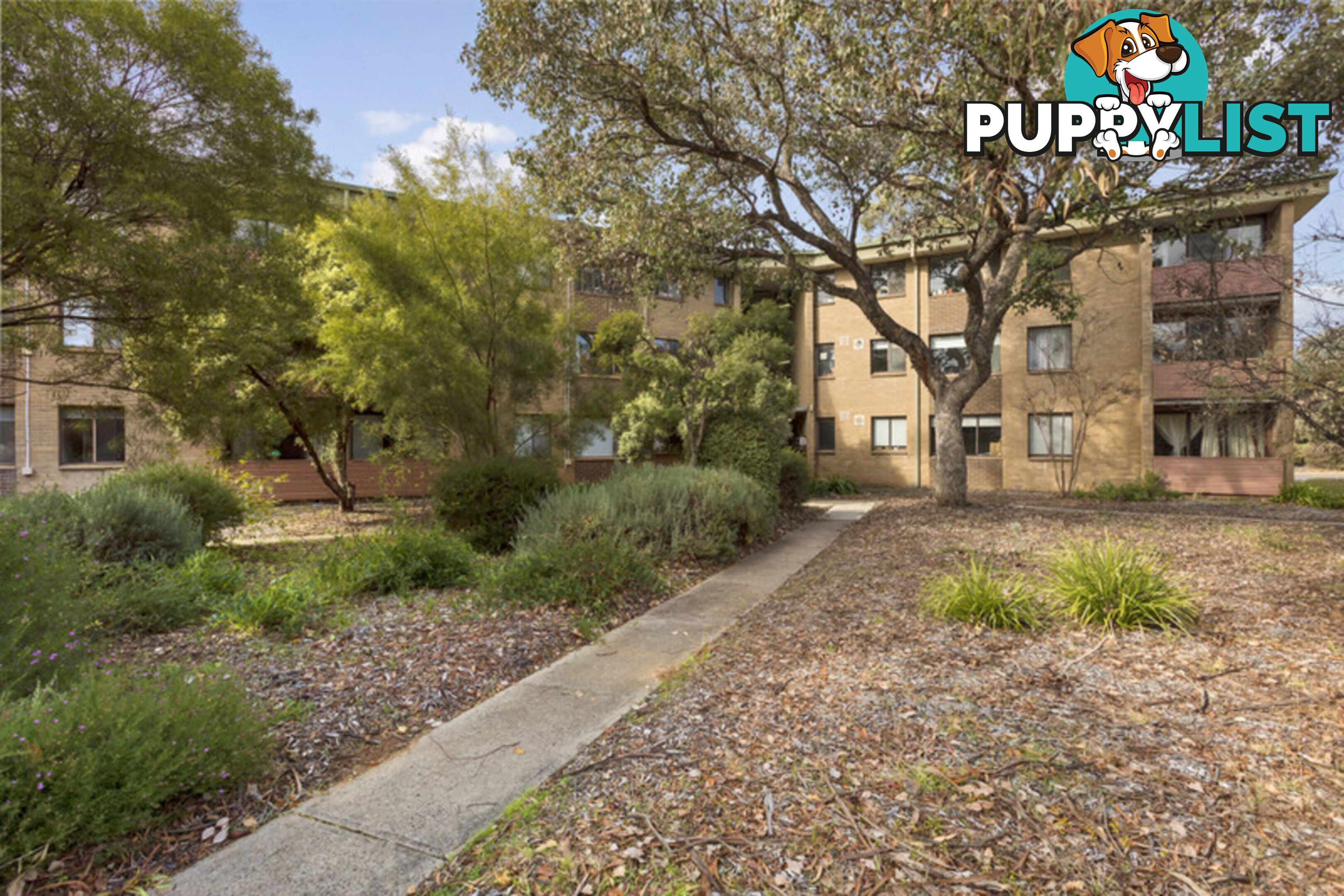 31/60 Wattle Street LYNEHAM ACT 2602