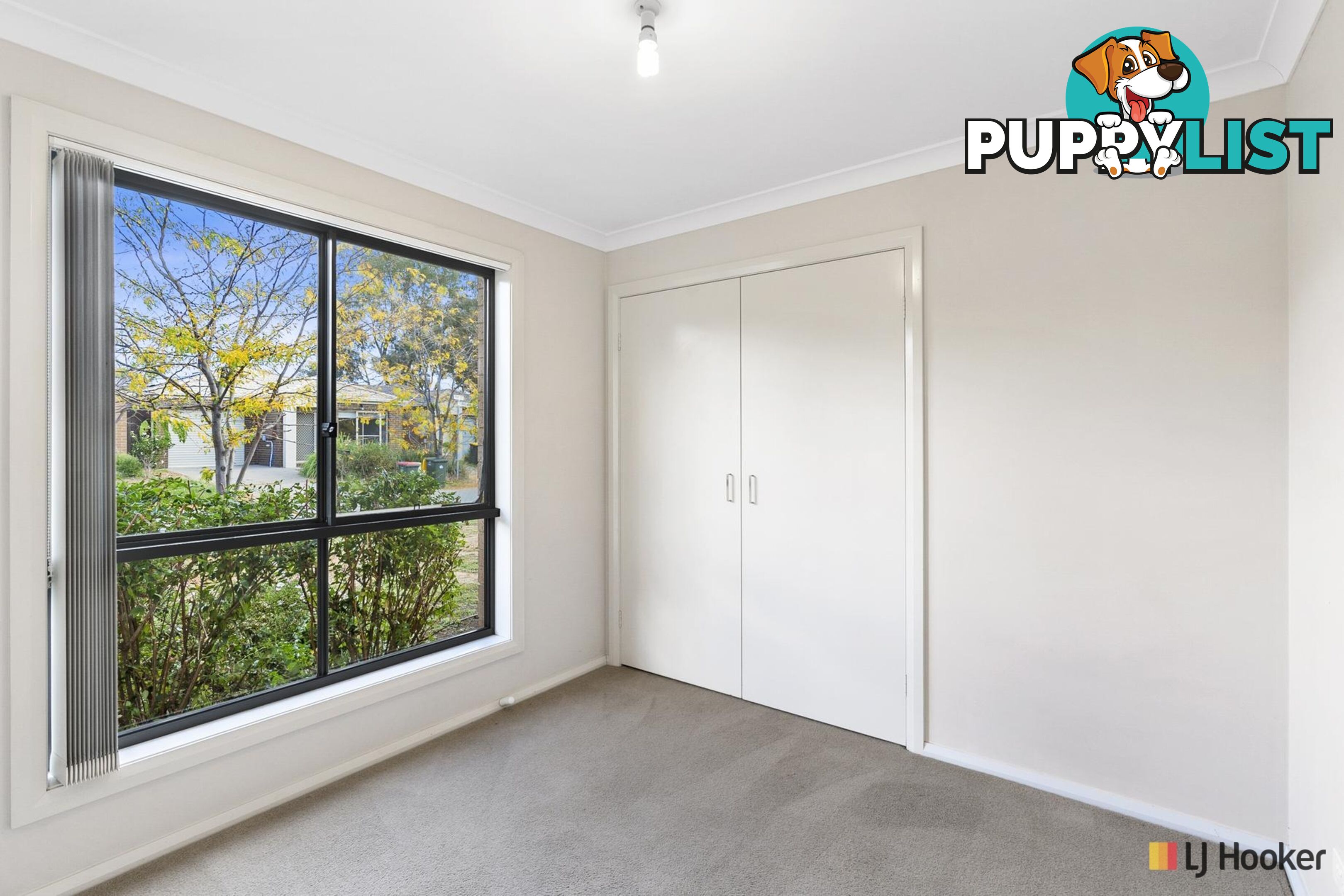 17 Phillipa Weeks Street WATSON ACT 2602