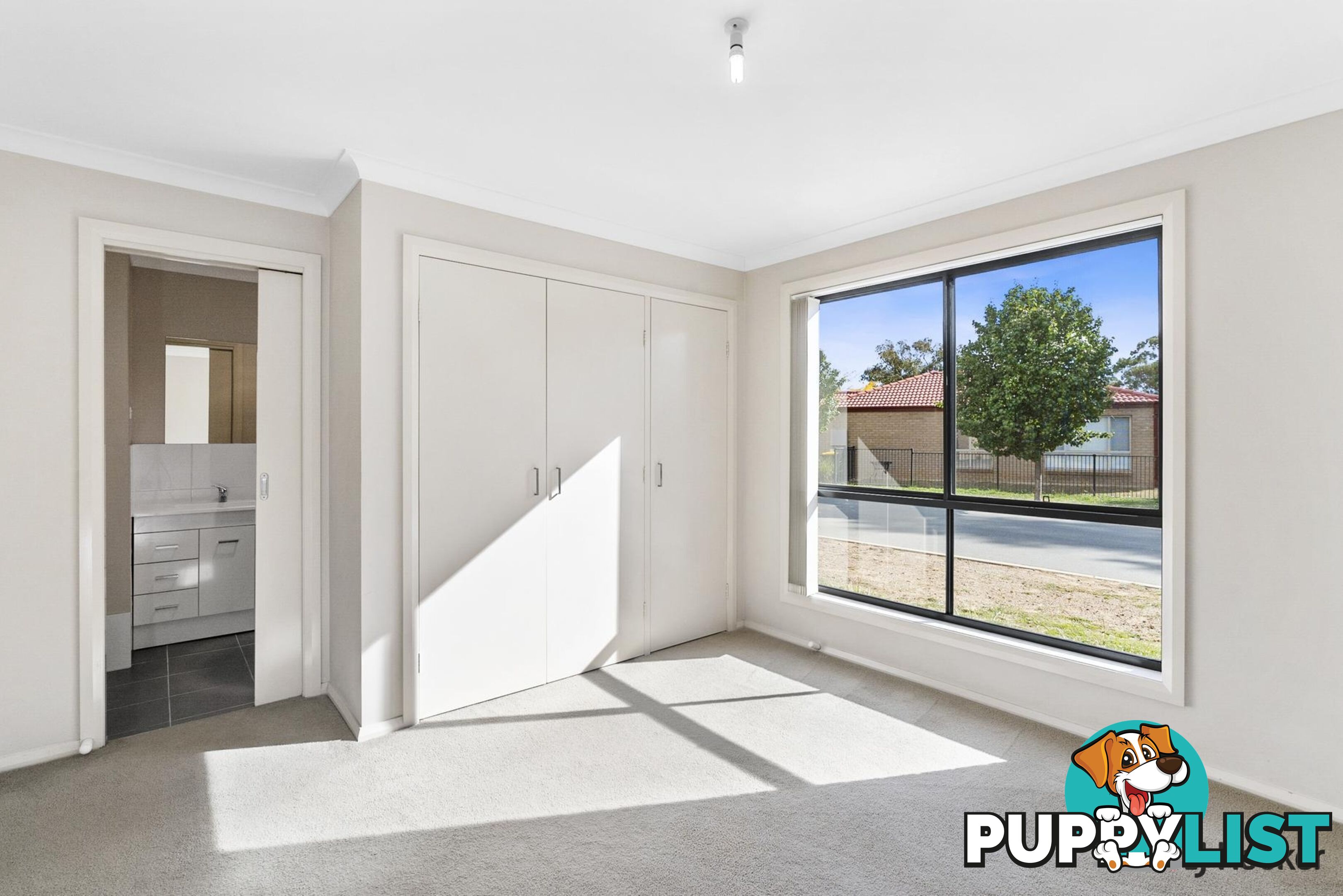 17 Phillipa Weeks Street WATSON ACT 2602