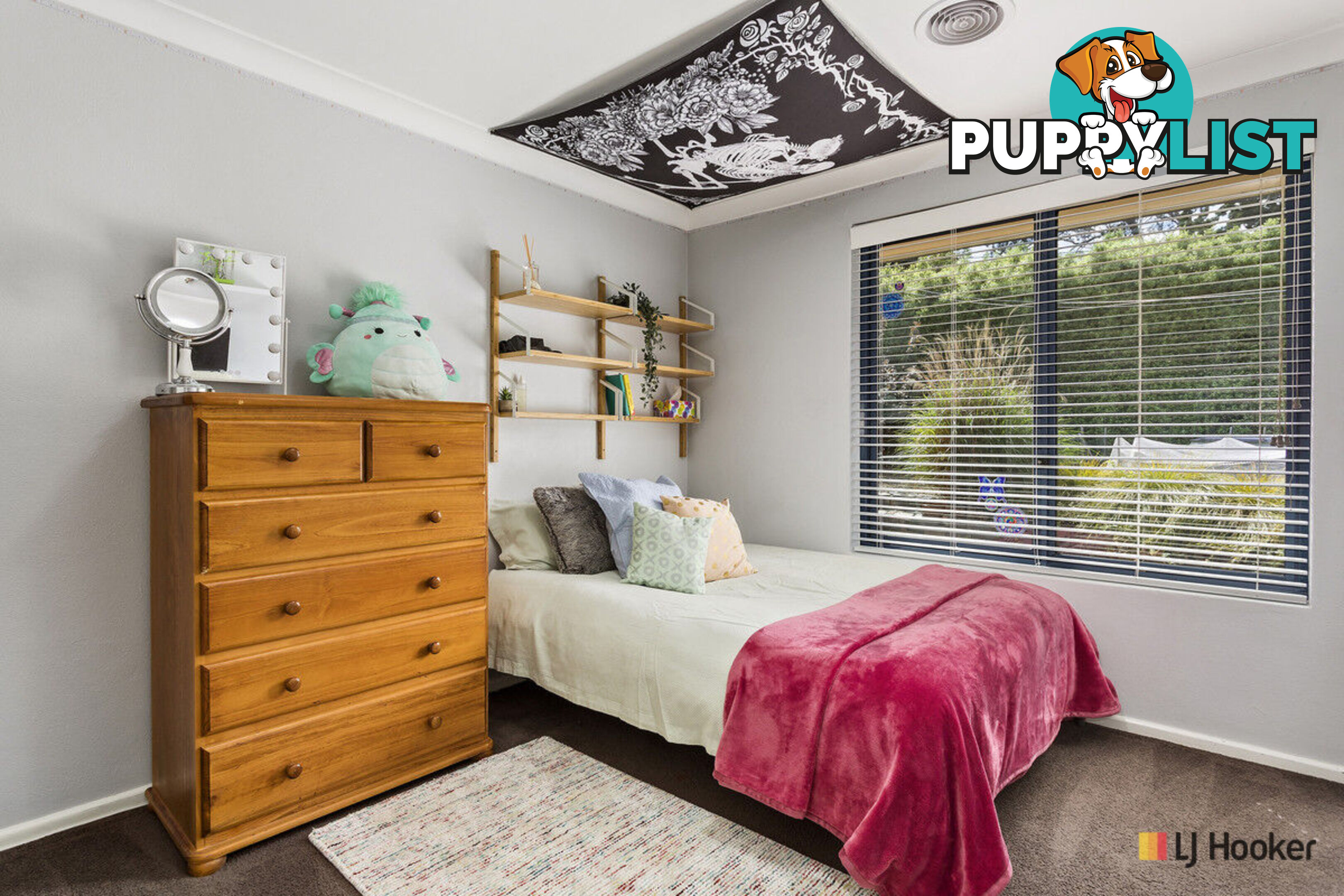 186 Duffy Street AINSLIE ACT 2602