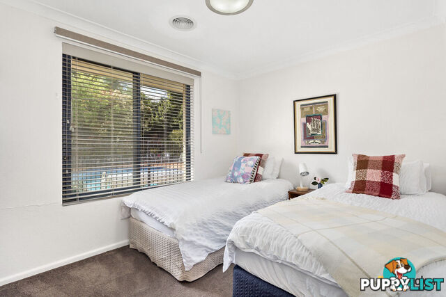 186 Duffy Street AINSLIE ACT 2602