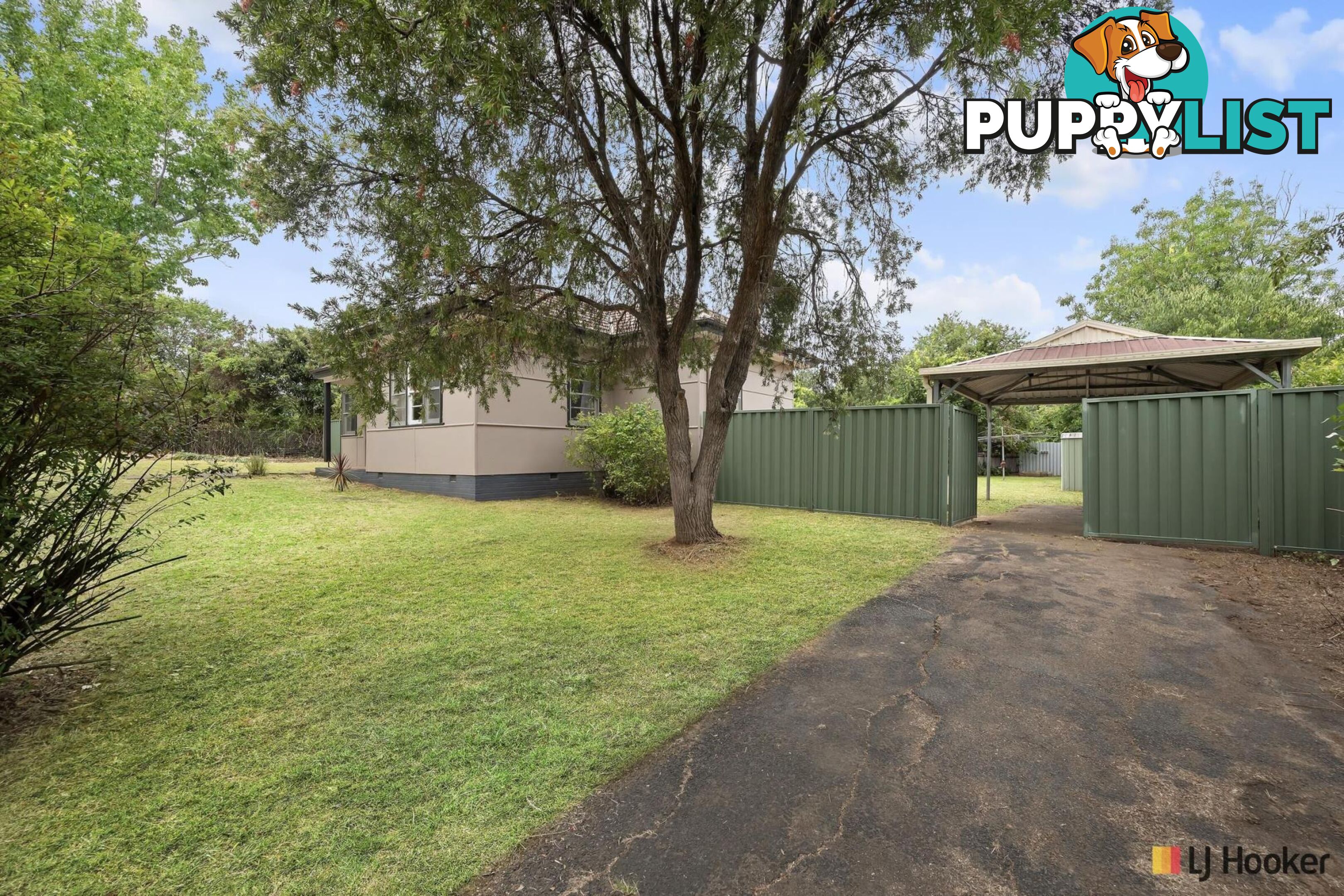 39 Campbell Street AINSLIE ACT 2602