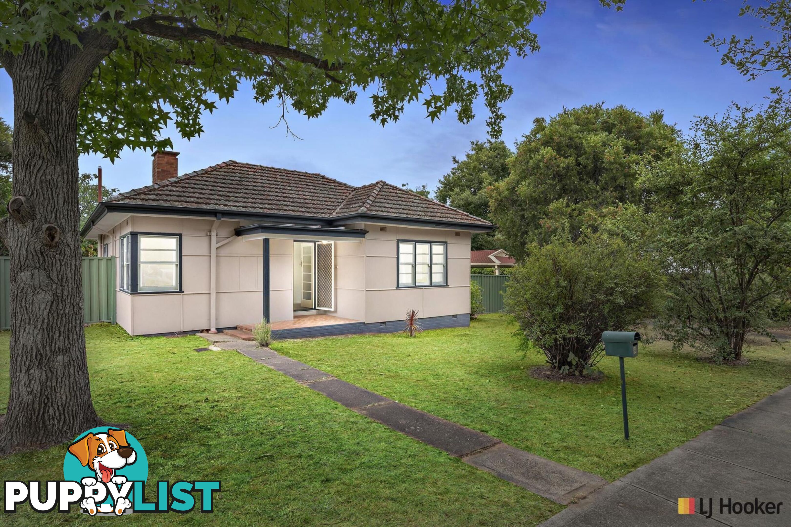 39 Campbell Street AINSLIE ACT 2602