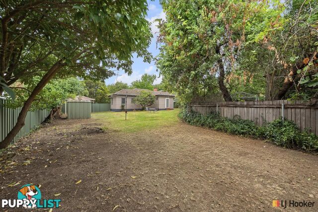 39 Campbell Street AINSLIE ACT 2602