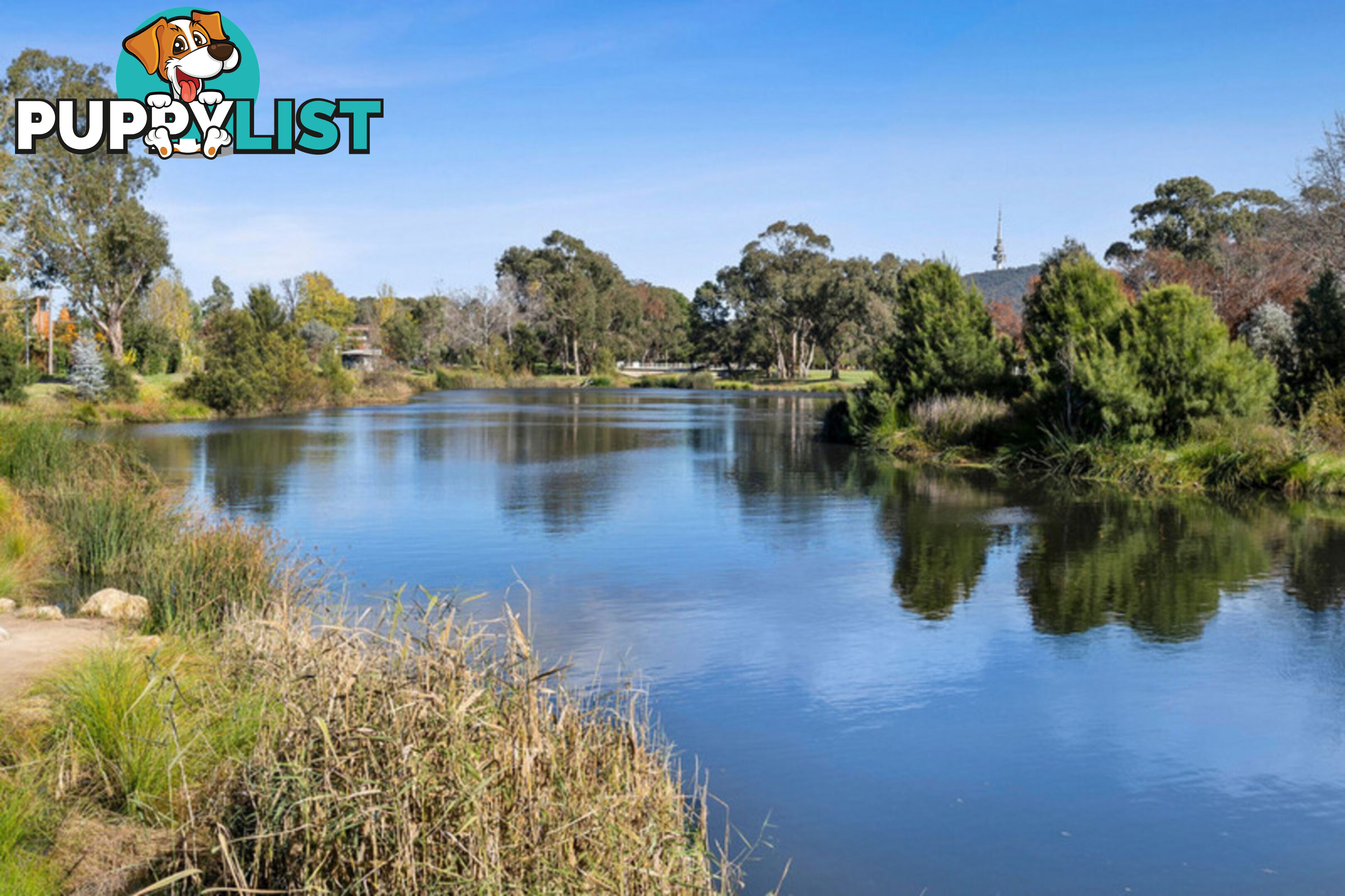 419/253 Northbourne Avenue LYNEHAM ACT 2602