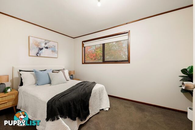5 Salomons Place AINSLIE ACT 2602