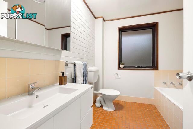 5 Salomons Place AINSLIE ACT 2602