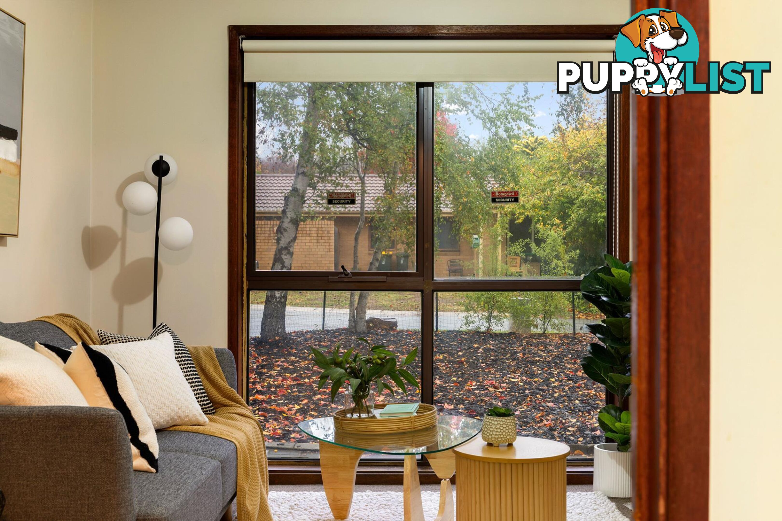 5 Salomons Place AINSLIE ACT 2602