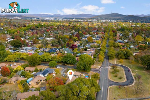 5 Salomons Place AINSLIE ACT 2602