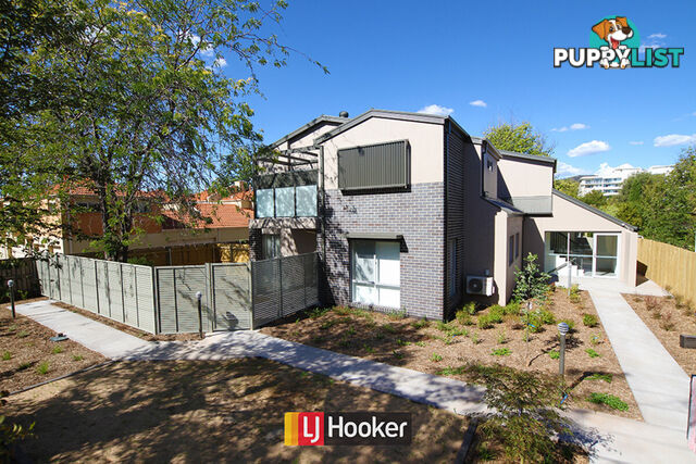 6/63 Macleay Street TURNER ACT 2612