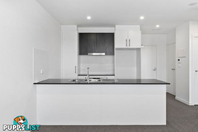 41/120 John Gorton Drive COOMBS ACT 2611