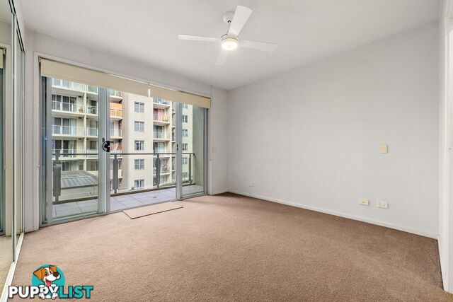 71/12 David Street TURNER ACT 2612
