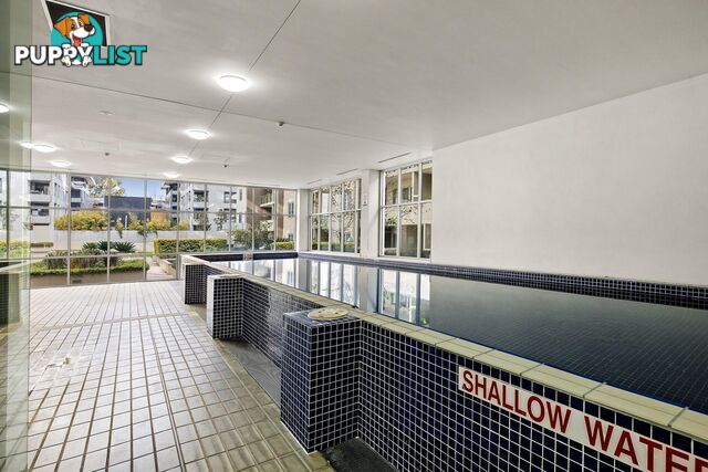 71/12 David Street TURNER ACT 2612
