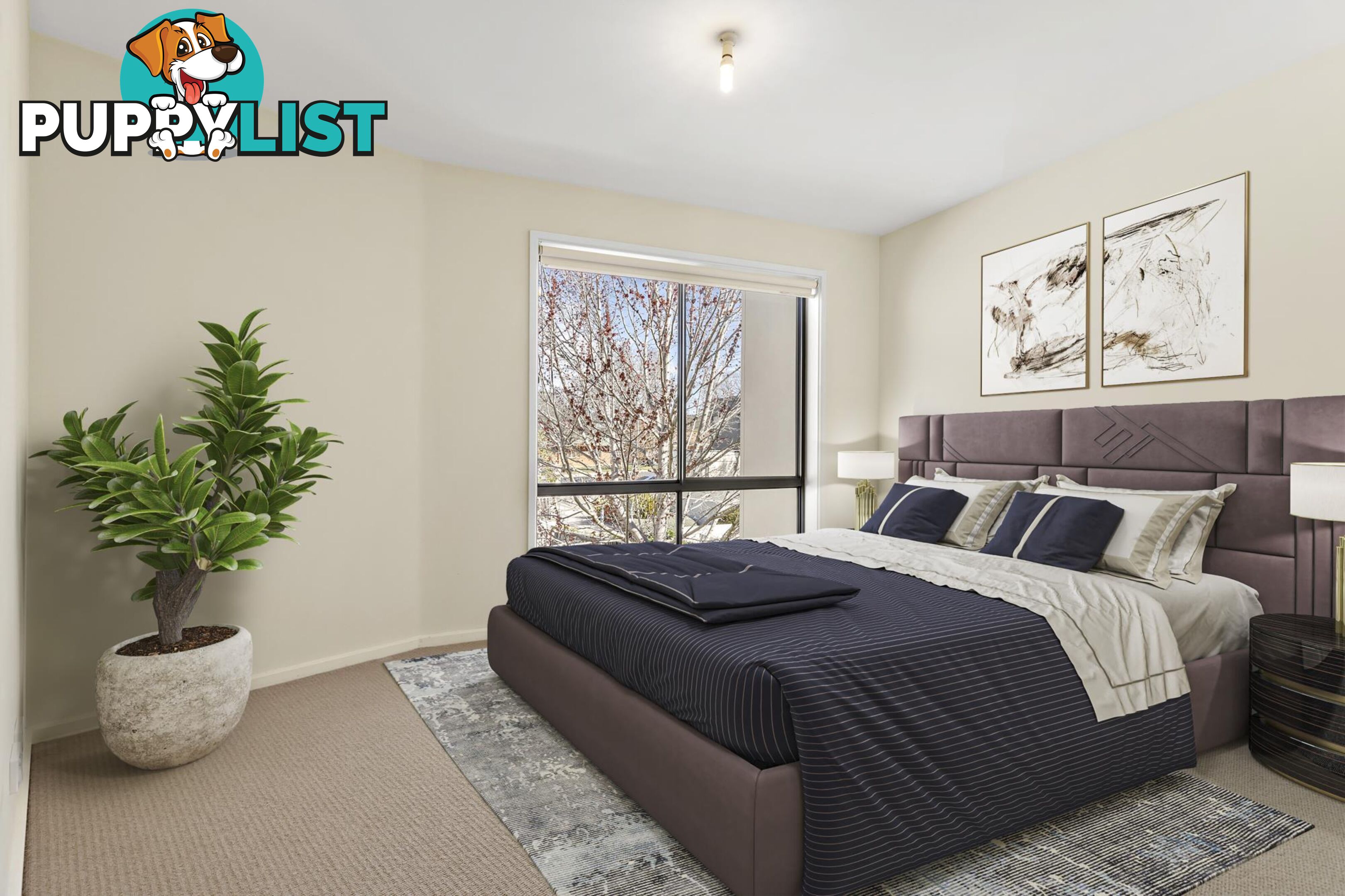 44/193 Mouat Street LYNEHAM ACT 2602