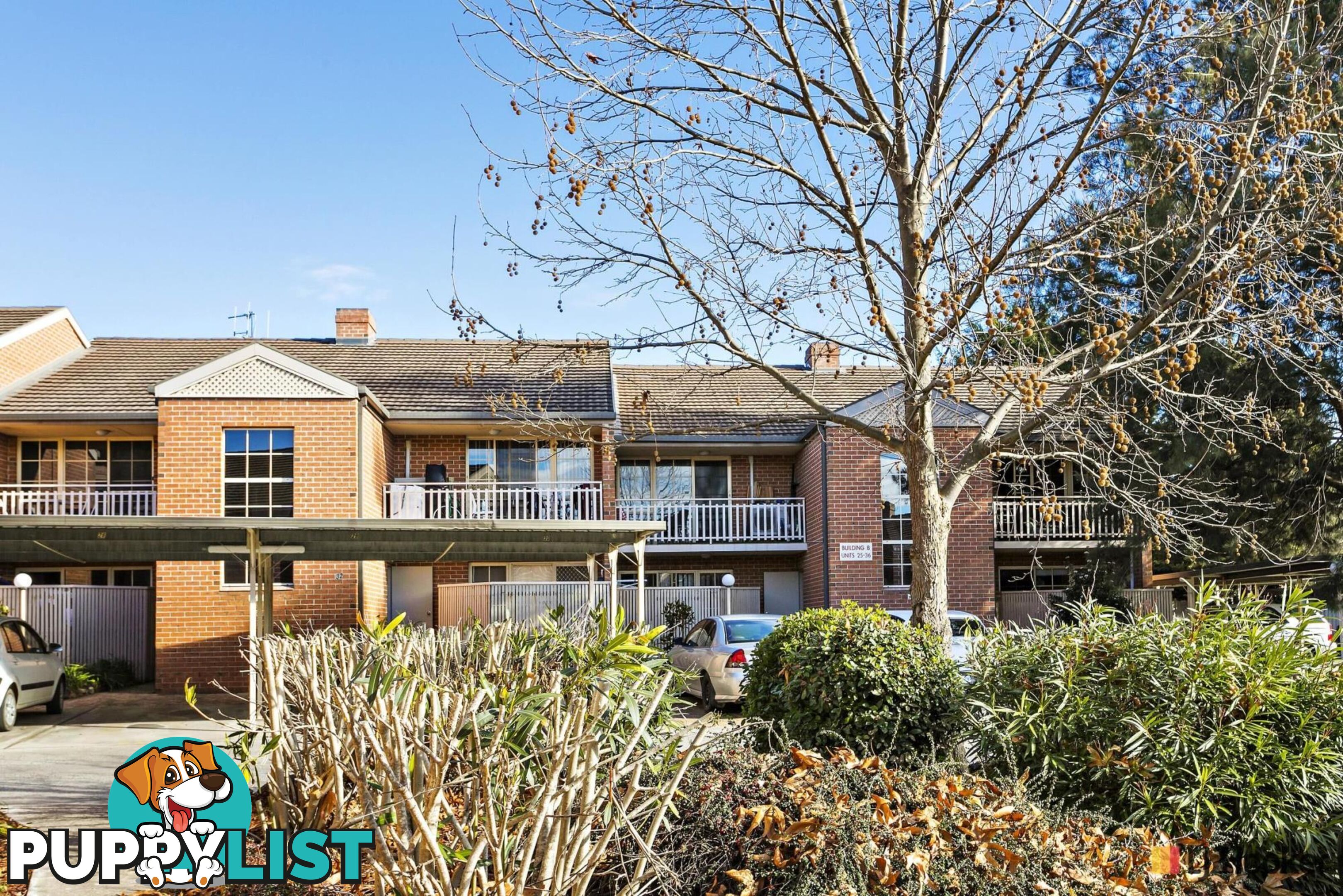 24/22 Archibald Street LYNEHAM ACT 2602