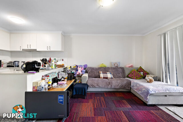 91/75 Elizabeth Jolley Crescent FRANKLIN ACT 2913