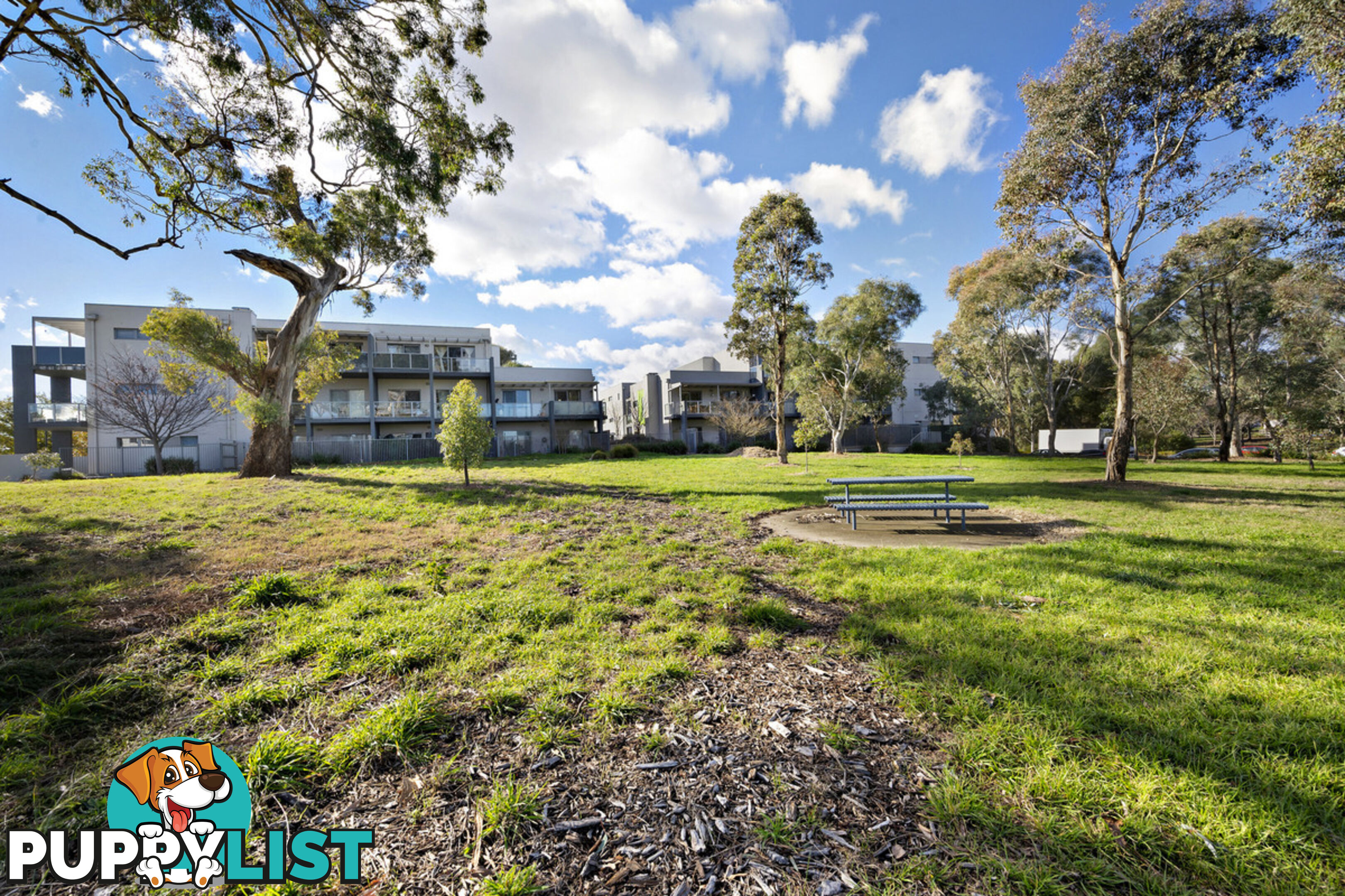 91/75 Elizabeth Jolley Crescent FRANKLIN ACT 2913